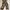 Streetwear Skater Casual pants Pria multicolor photo 7