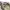Sportswear Casual Hat Pria cream photo 5
