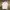 Dickies Streetwear T-shirt Pria white photo 1