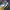 Nike Air Jordan Lolita Indie Sneakers Pria white yellow photo 4