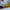 Nike Air Jordan Lolita Indie Sneakers Pria white yellow photo 7