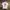 Japanese Brand Minimalist T-shirt Pria White