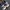 Nike Air Jordan Lolita Casual Sneakers Wanita purple pink photo 5