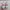 Nike Air Jordan Gorpcore Lolita Sneakers Wanita white pink photo 4