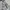 Nike Gorpcore Suit Pria gray photo 6