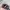 Obey Vintage Streetwear Hat Pria Black