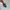 Oakley Y2K Gorpcore Sunglass Pria black gray photo 4