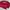 Umbro Y2K Sportswear Windbreaker Pria red black photo 2