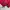 Umbro Y2K Sportswear Windbreaker Pria red black photo 5
