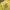 ECKO UNLTD Streetwear Y2K T-shirt Pria yellow photo 2