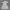 Luxury Casual Going out dress Wanita white navy gray photo 2