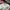 MLB Streetwear Casual Kids white pink photo 4