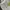 Stussy Streetwear Hoody Pria white photo 6