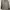 Casual Trench Coat Pria Gray
