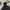 Gorpcore Puffer jacket Pria black photo 4