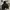 Gorpcore Puffer jacket Pria black photo 3