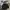 Gorpcore Puffer jacket Pria black photo 2