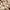 Uniqlo Vintage Casual Bomber jacket Pria white tan brown photo 4