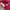 Streetwear Y2K Wide leg jeans Wanita burgundy photo 4
