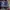 Nike Biker Sportswear Jersey Pria navy photo 2