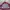 Adidas Y2K Sportswear Kids red photo 6
