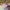 Stradivarius Y2K Biker Crop top Wanita multicolor photo 4