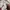 Outdoor Research Streetwear Casual Windbreaker Pria white photo 6