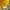 Polo Ralph Lauren Casual Polo shirt Pria yellow photo 4