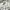 Nike Vintage Sportswear Track jacket Pria white photo 2
