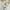 Nike Vintage Sportswear Track jacket Pria white photo 4