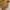 Luxury Puffer Jacket Pria Yellow