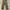 Vintage Sportswear Casual pants Pria green photo 3