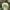 Pancoat Vintage Hat Pria white photo 4