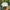 Pancoat Vintage Hat Pria white photo 6