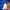 Hollister Avant Garde Sweater Pria blue photo 3