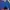 Hollister Avant Garde Sweater Pria Blue