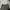 Le Coq Sportif Gorpcore Minimalist Puffer jacket Pria green photo 8