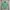 Casual Polo Shirt Pria Green