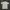 Casual Polo shirt Pria cream yellow photo 1