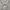 Sportswear Polo shirt Pria white photo 5