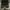 Nike Air Jordan Sportswear Sneakers Pria black photo 2