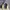 Marc Jacobs Vintage Tote bag Wanita multicolor photo 6