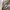 Marc Jacobs Vintage Tote bag Wanita multicolor photo 7