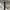 Casual Windbreaker Pria white photo 4