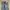 EDWIN Streetwear Jeans Pria multicolor photo 7