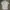 PLST Formal shirt Pria white photo 3