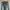 Lee Streetwear Jeans Pria multicolor photo 2