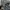 Lee Streetwear Jeans Pria multicolor photo 3