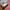Guess Casual Crossbody Bag Wanita yellow photo 8