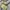 Guess Casual Crossbody Bag Wanita yellow photo 3